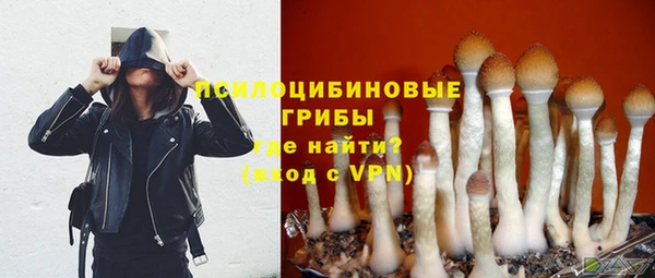 ешки Зерноград