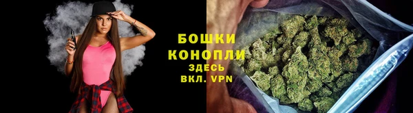бошки Заводоуковск