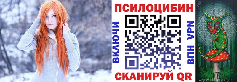 Купить где Гдов Псилоцибиновые грибы прущие грибы